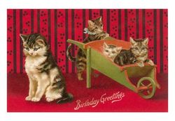 birthday-greetings-cats-with-wheelbarrow